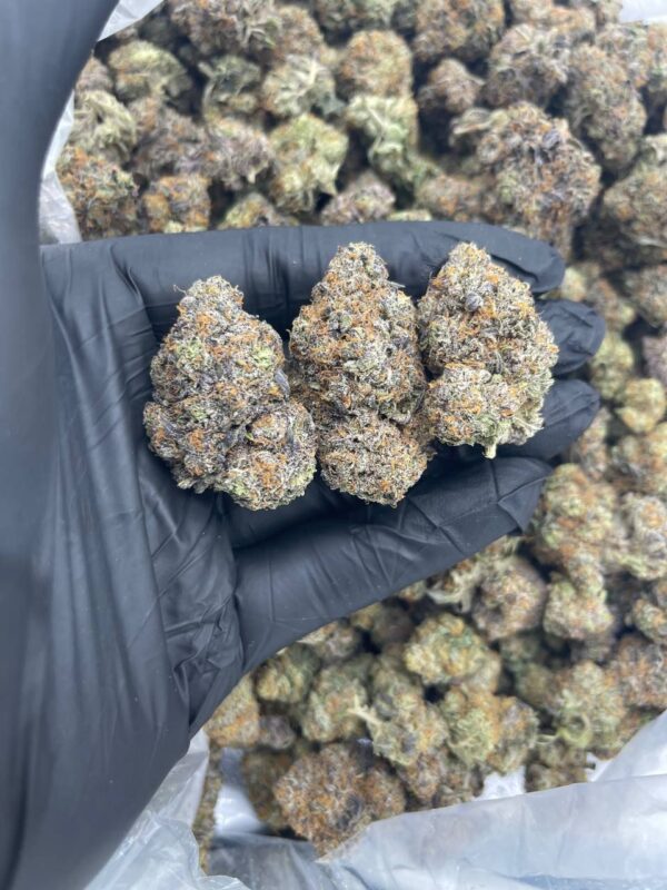 blue cookies