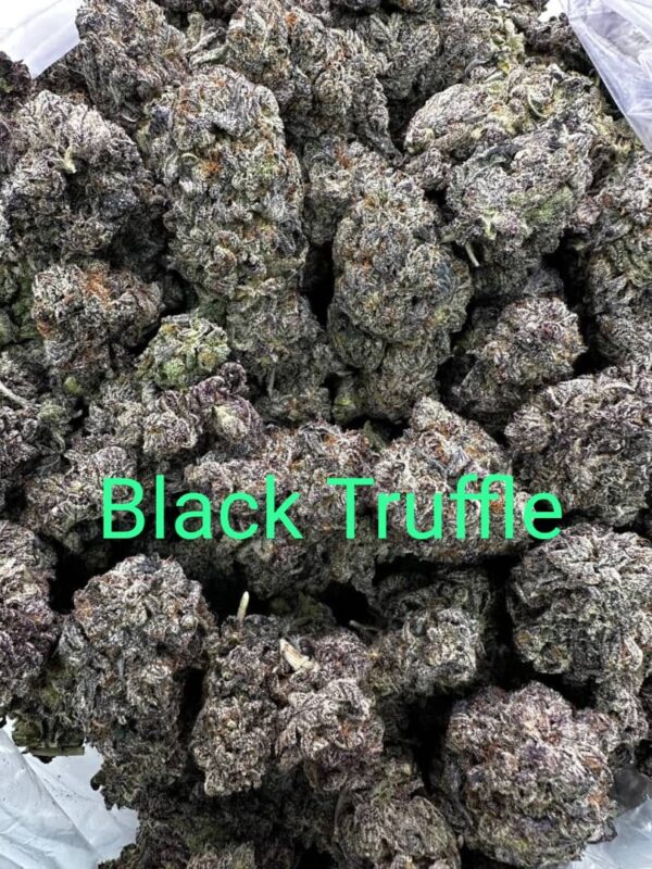 black truffle strain