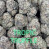 Black Truffle Strain for sale - Image 3