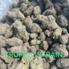 truffle strain