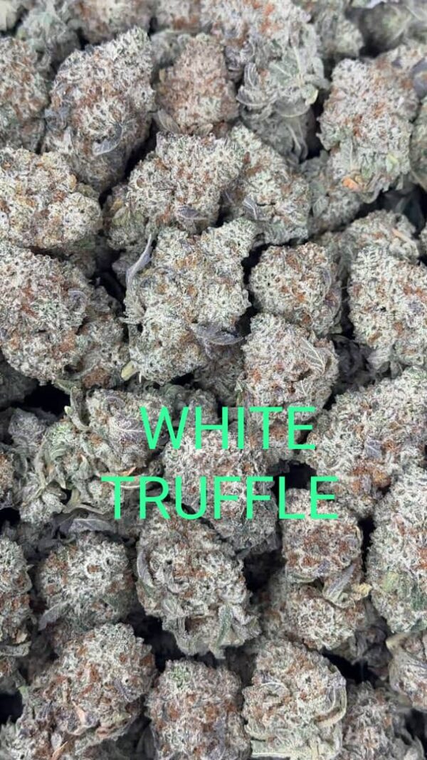 white truffle strain