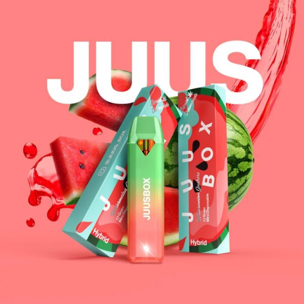 Juus Disposable Vape