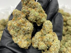 lemon fizz strain